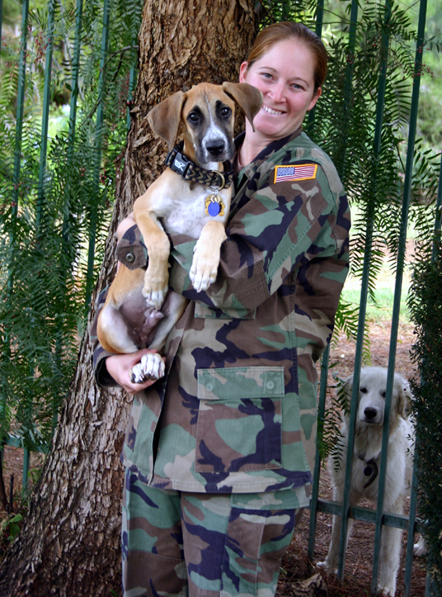 great dane puppies inland empire